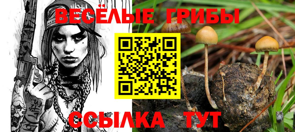 Лангепас  Псилоцибиновые грибы GOLDEN TEACHER  Вход с VPN  Галлюциногенные грибы GOLDEN TEACHER 